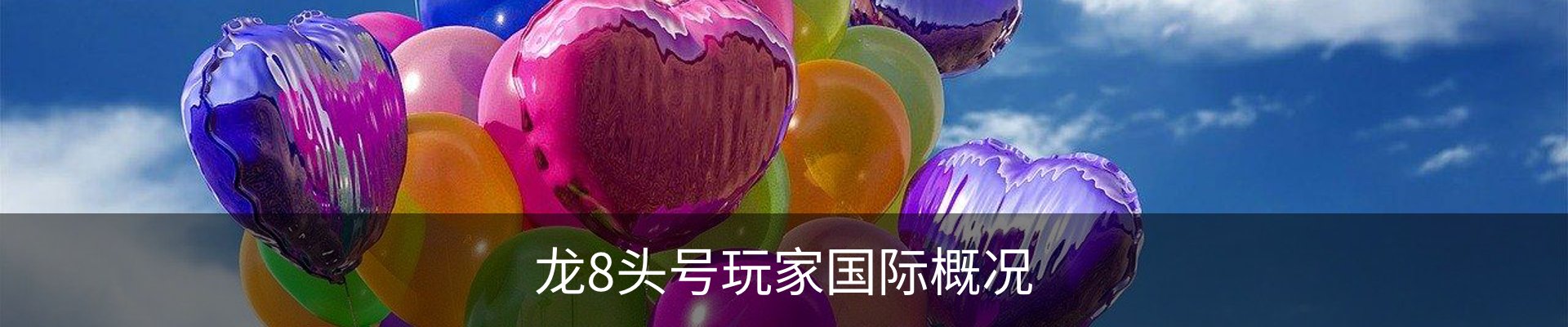 龙8头号玩家国际概况